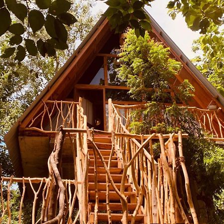 Angry Birds Tree House Lägenhet Habarana Exteriör bild
