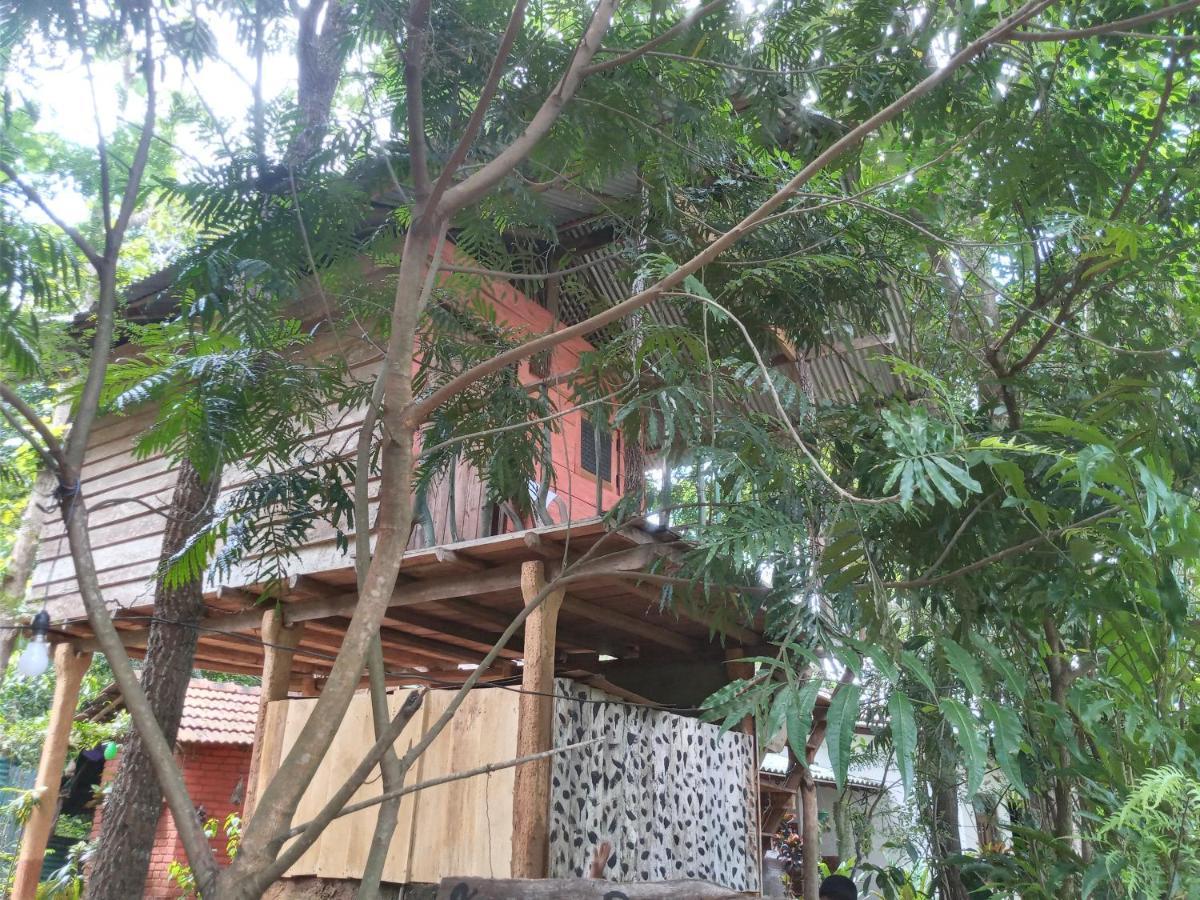 Angry Birds Tree House Lägenhet Habarana Exteriör bild