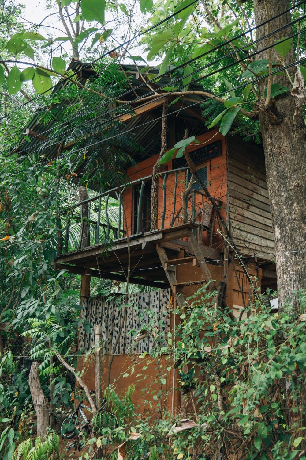 Angry Birds Tree House Lägenhet Habarana Exteriör bild