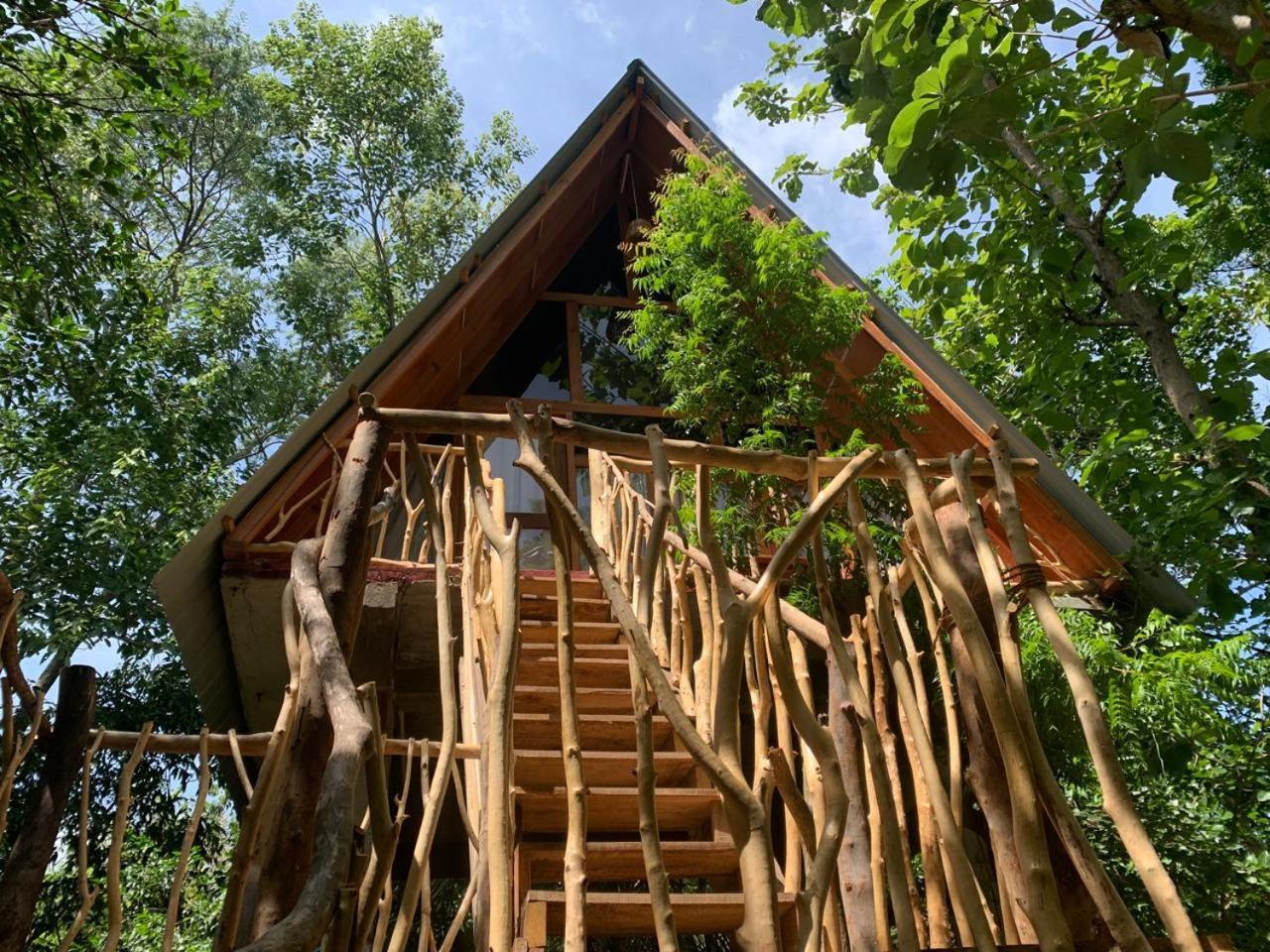 Angry Birds Tree House Lägenhet Habarana Rum bild