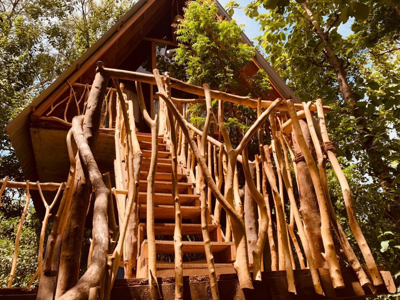 Angry Birds Tree House Lägenhet Habarana Exteriör bild