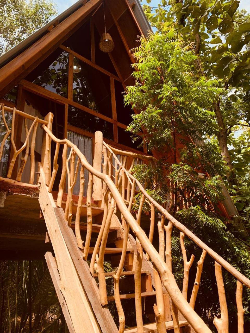Angry Birds Tree House Lägenhet Habarana Exteriör bild