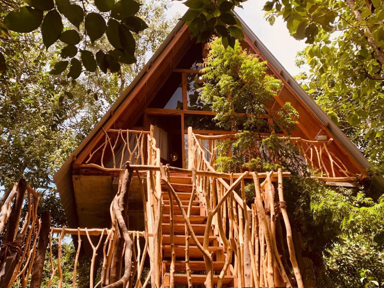 Angry Birds Tree House Lägenhet Habarana Exteriör bild