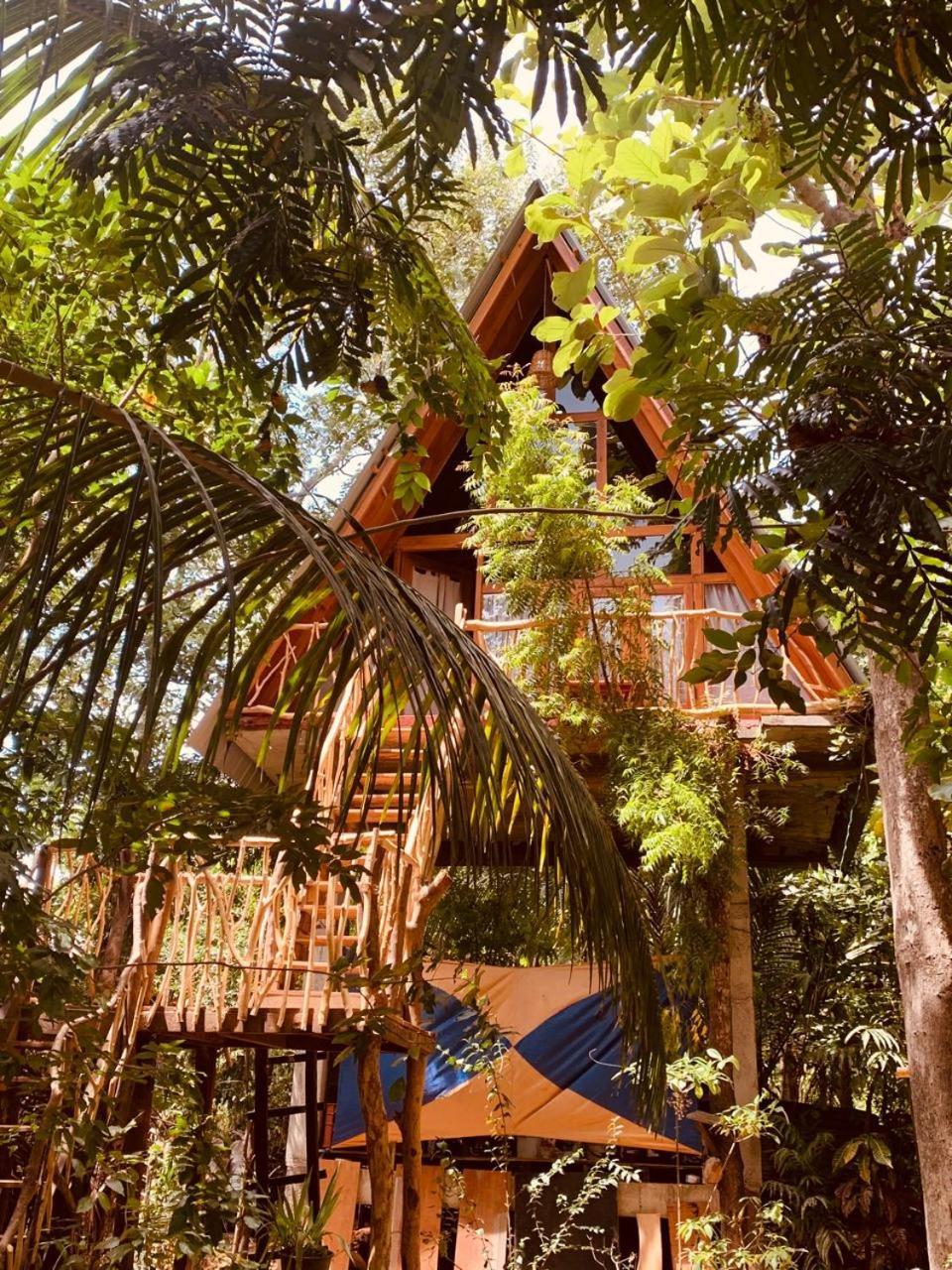 Angry Birds Tree House Lägenhet Habarana Exteriör bild