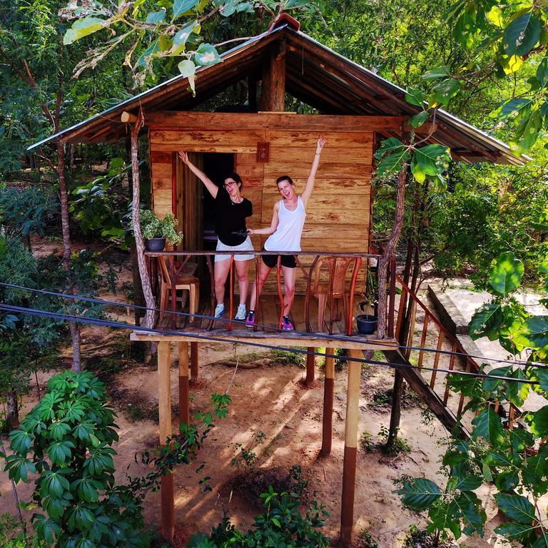 Angry Birds Tree House Lägenhet Habarana Exteriör bild