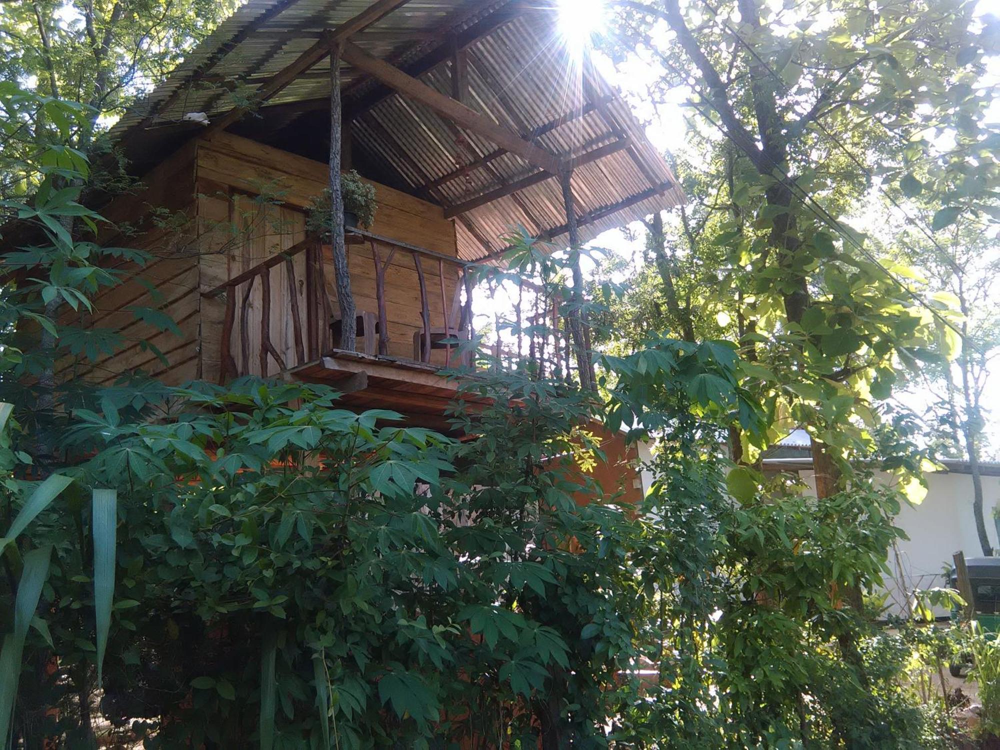 Angry Birds Tree House Lägenhet Habarana Exteriör bild