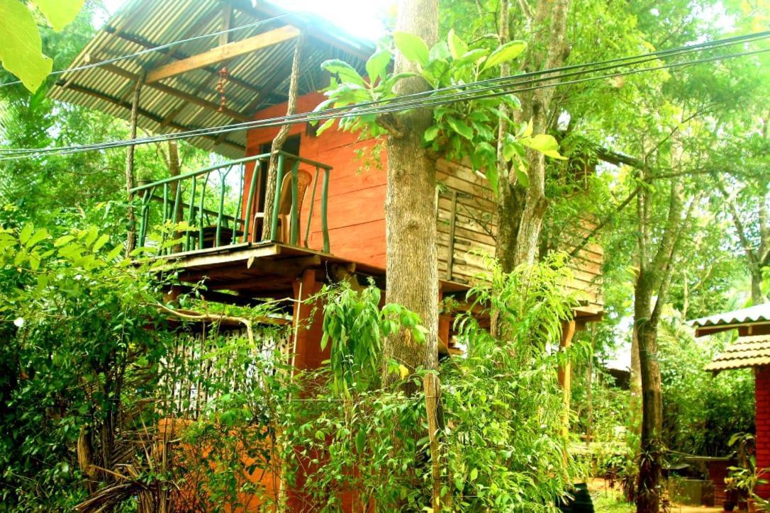 Angry Birds Tree House Lägenhet Habarana Exteriör bild